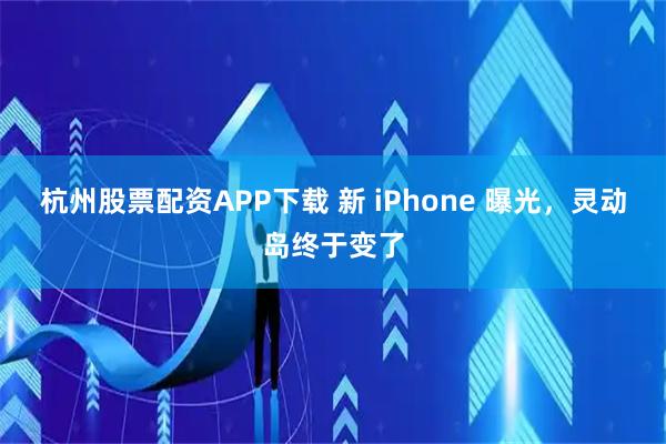 杭州股票配资APP下载 新 iPhone 曝光,灵动岛终于变了