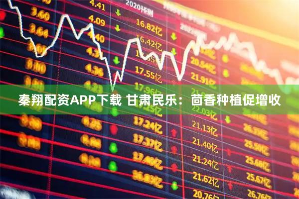 秦翔配资APP下载 甘肃民乐：茴香种植促增收