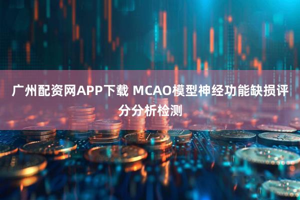广州配资网APP下载 MCAO模型神经功能缺损评分分析检测