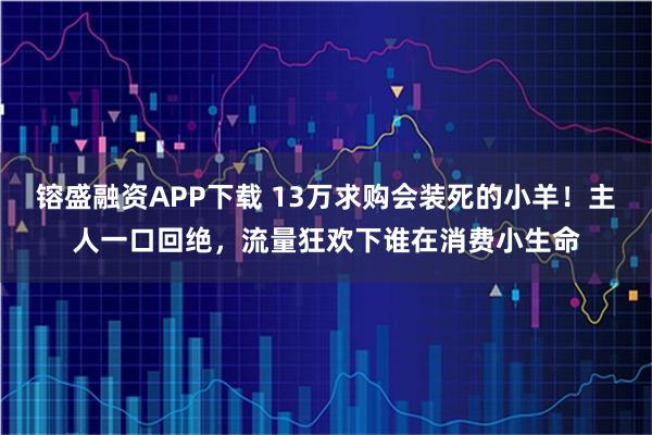 镕盛融资APP下载 13万求购会装死的小羊！主人一口回绝，流量狂欢下谁在消费小生命