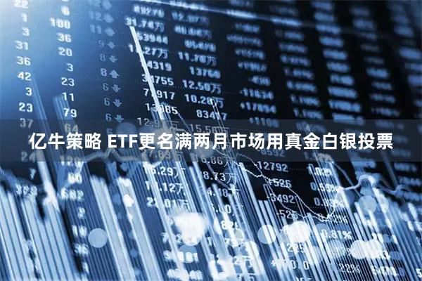 亿牛策略 ETF更名满两月　市场用真金白银投票
