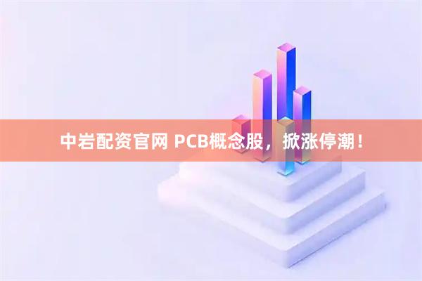 中岩配资官网 PCB概念股,掀涨停潮!